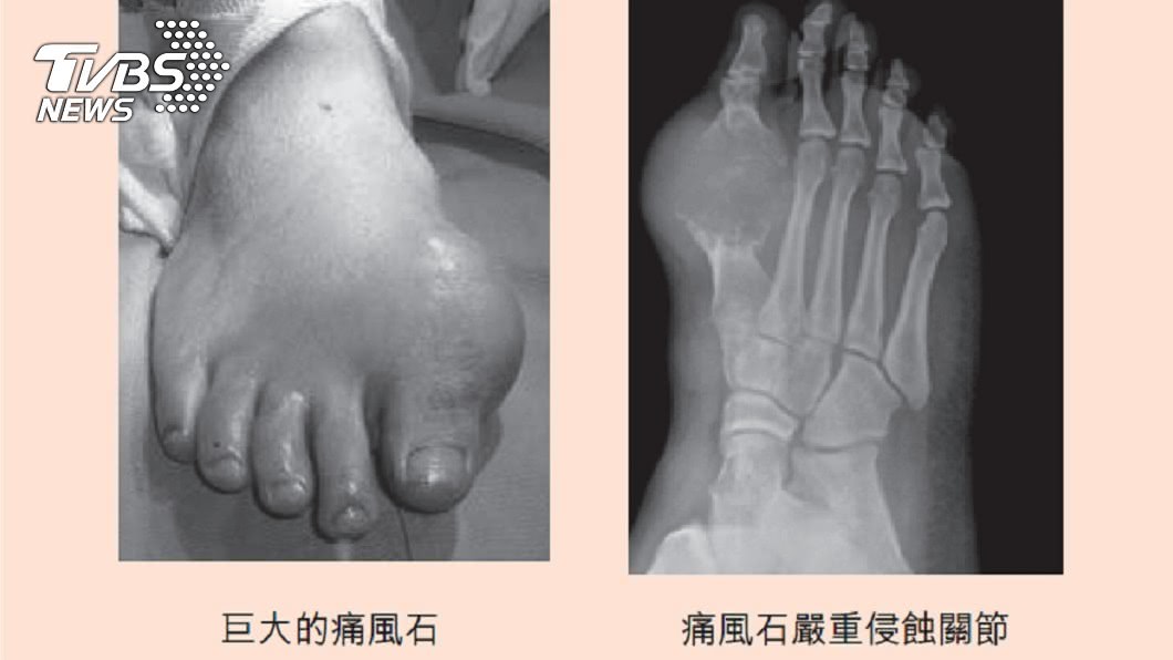 圖／《時報文化》提供