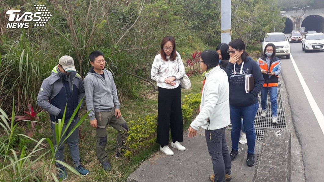 苗栗縣單月5起石虎路殺 友善公路速打造