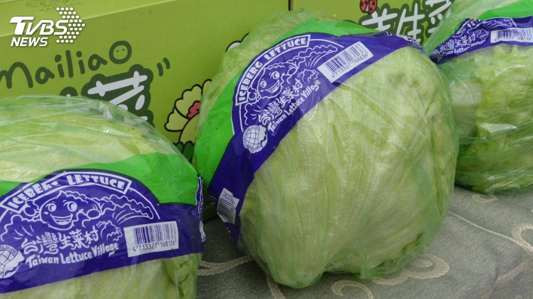 麥寮美生菜外銷裝櫃 直送大陸5000通路門市