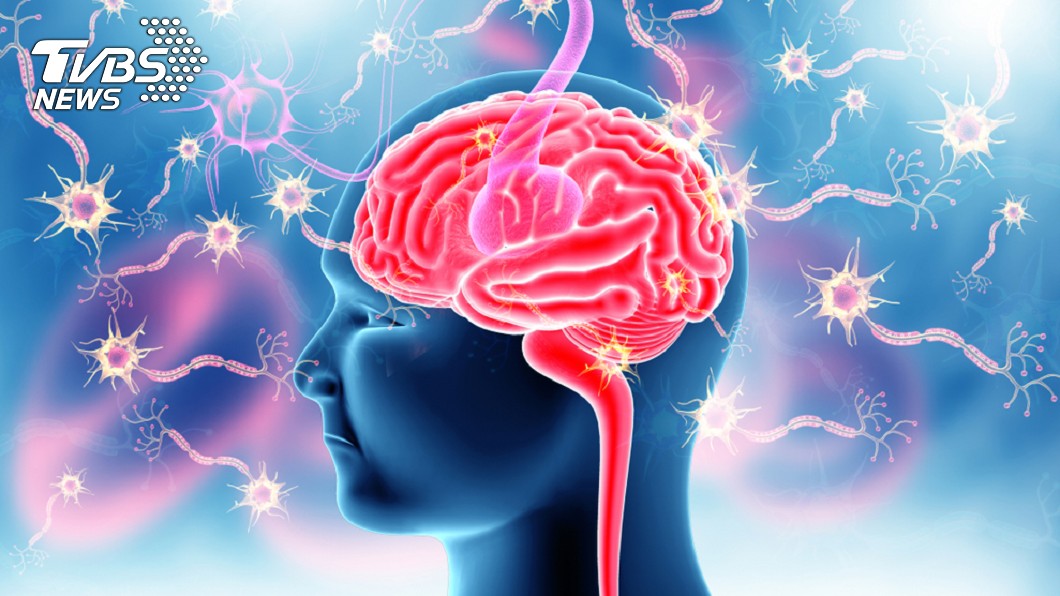 揭女性比男性長壽背原因 與大腦年齡有關?