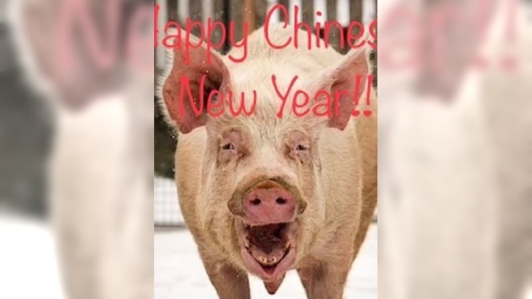 吳彥祖選醜豬照賀新年 陸網友怒罵:歧視