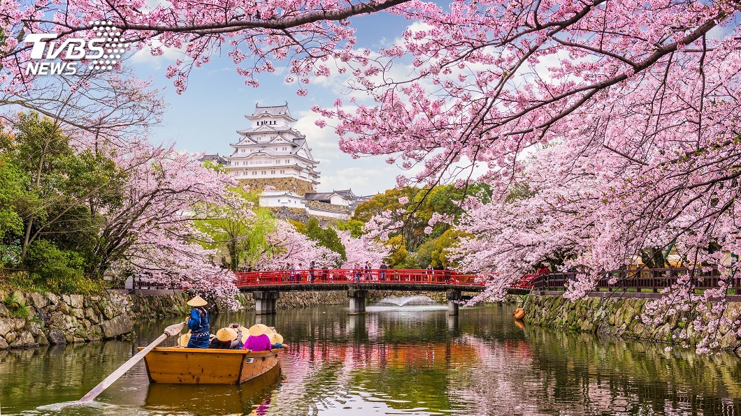 東京櫻花盛開 比往年早12天