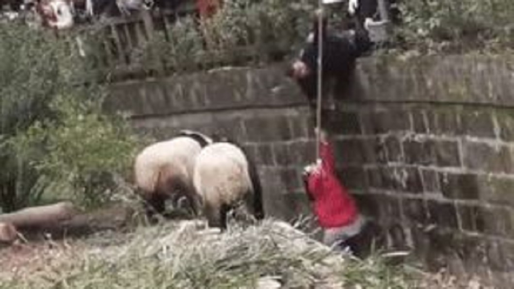圖/翻攝自廣州日報微博