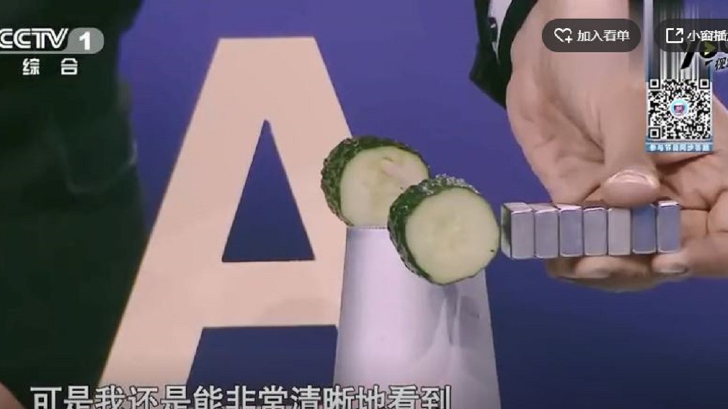 物質磁化率實驗 黃瓜與釹磁鐵產生排斥