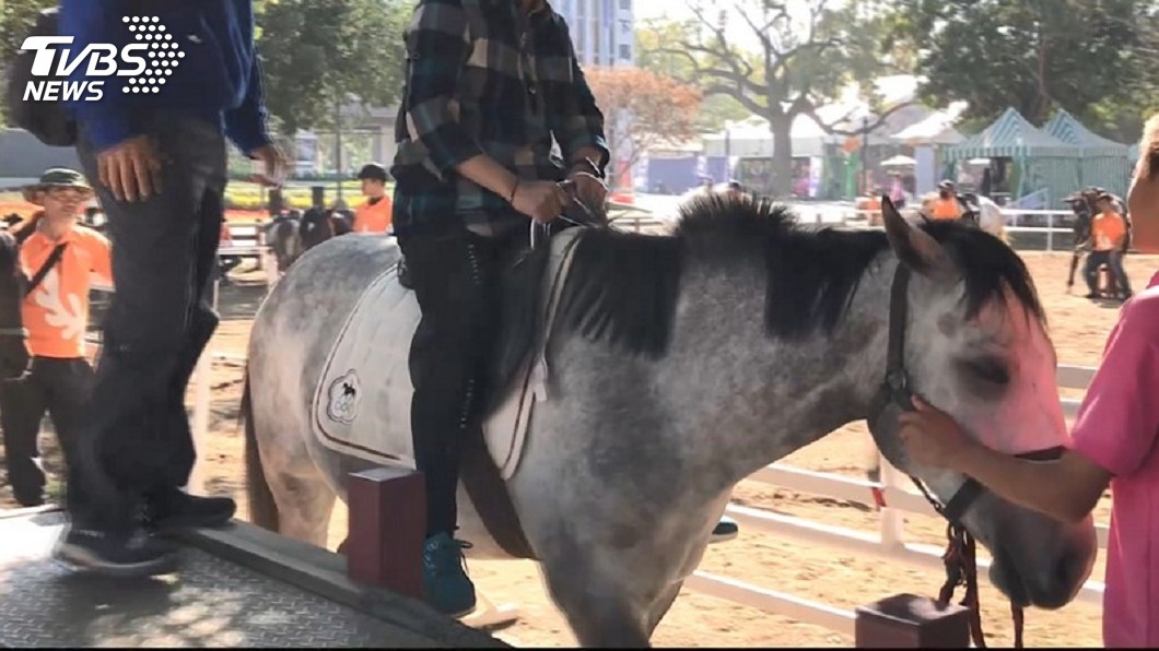 遊客發現馴馬師拿皮鞭打馬 中市府:指令輔助作用
