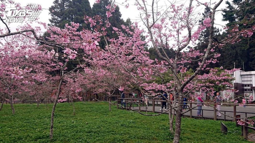 圖／中央社