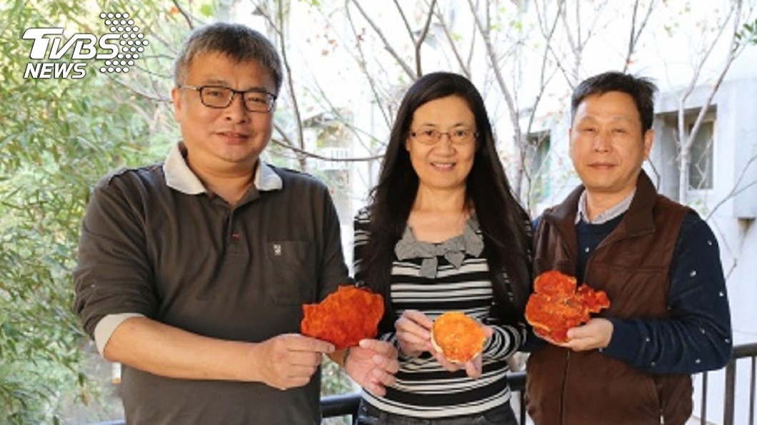 抗全球第二大癌！台灣研究成功　「這個」讓腫瘤小10倍