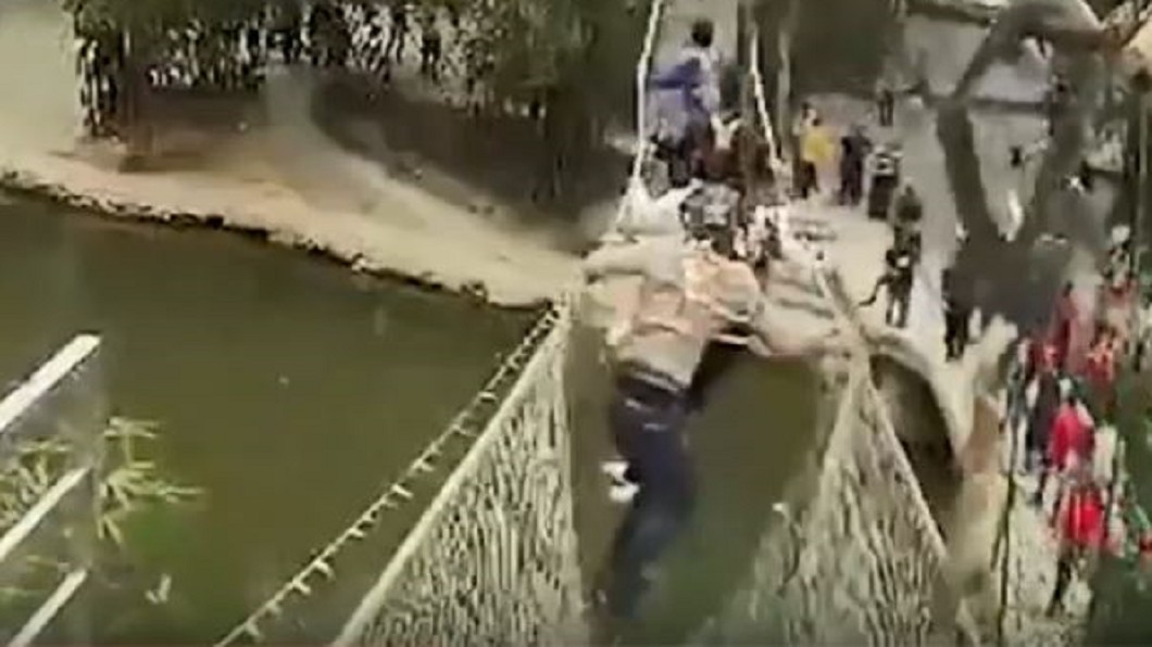 走鋼索求刺激猛搖晃 6旅客瞬間下墜懸空