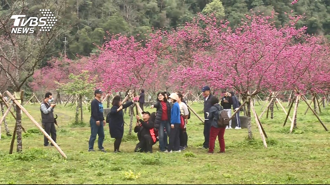 回暖迎除夕!一張圖秒懂「年前、春節」天氣