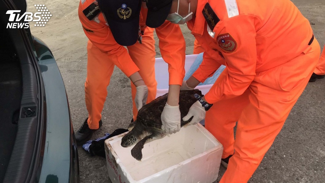 海龜疑生病載浮載沉 海巡救援送海生館治療