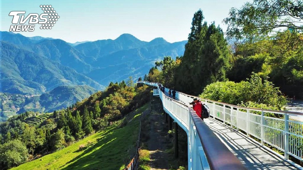 阿里山櫻花健行之旅　超輕鬆玩法報你知