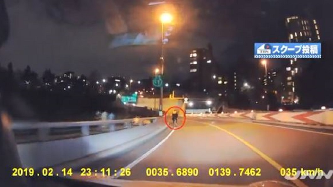 東京高速公路不速之客! 自行車闖入國道