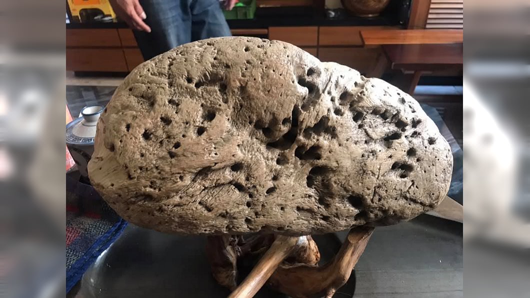 老爸海邊撿到奇怪洞石 網驚:價值上千萬!