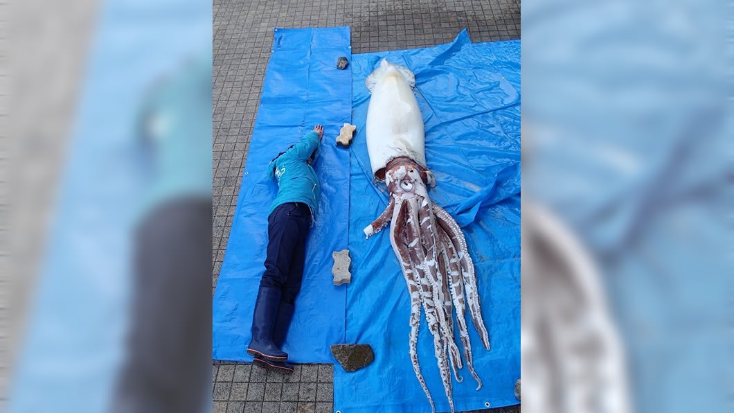 圖／翻攝自島根Aquas水族館臉書  
