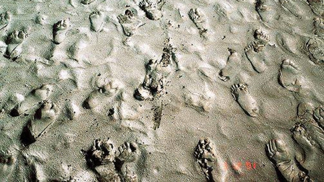 神奇!白沙屯媽祖神轎衝渡濁水溪 腳印竟浮出河床