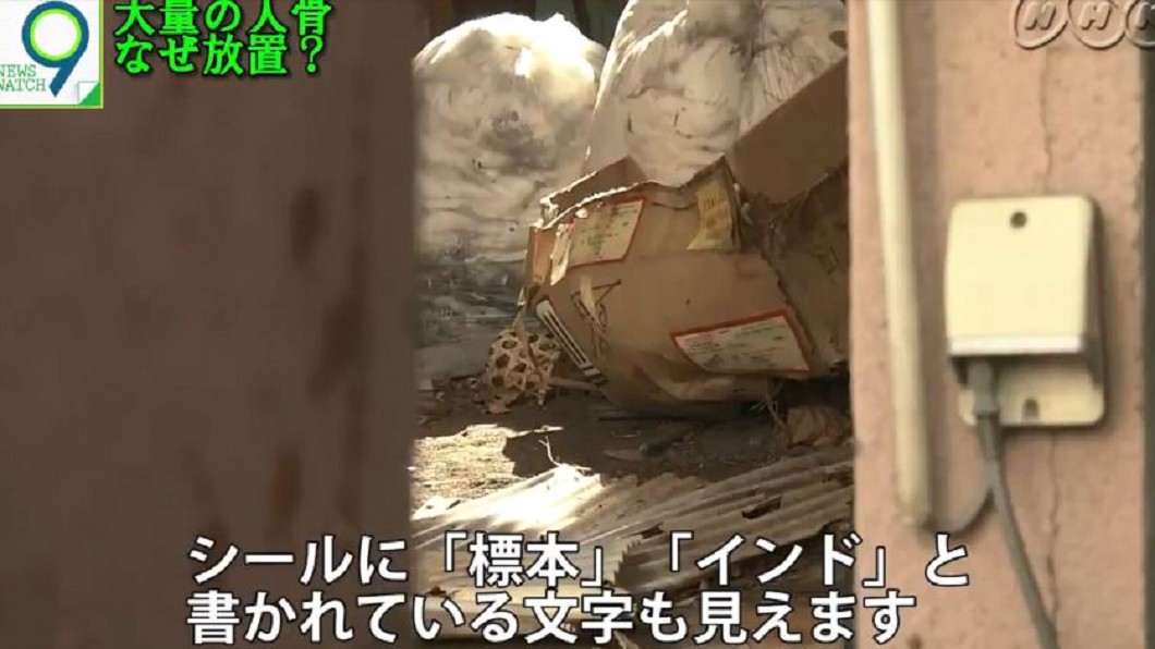 圖/翻攝自ニュースウオッチ9推特