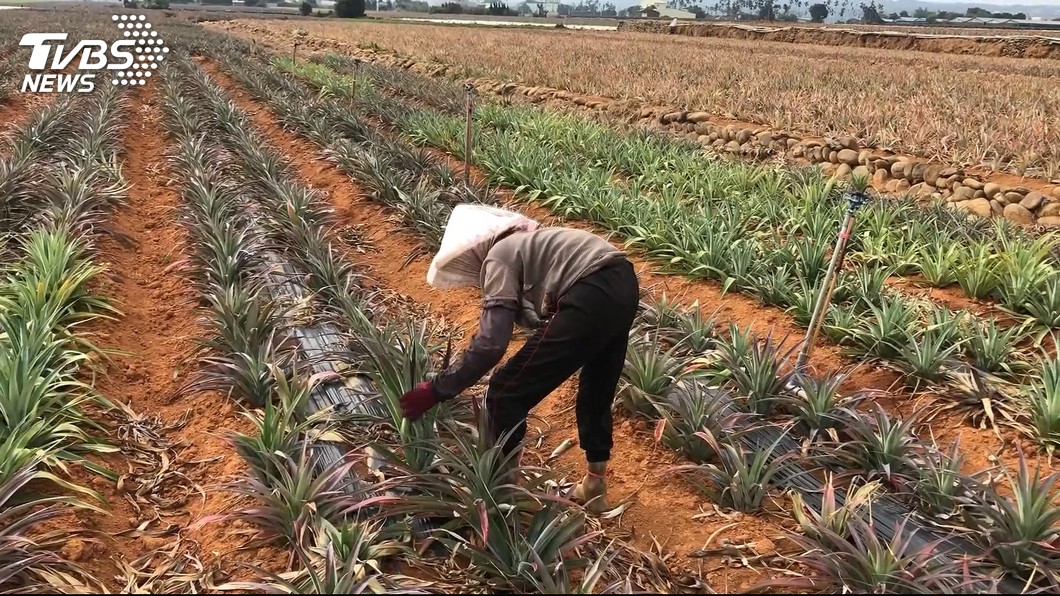老農津貼109年起調到7550元 約58.6萬人受惠