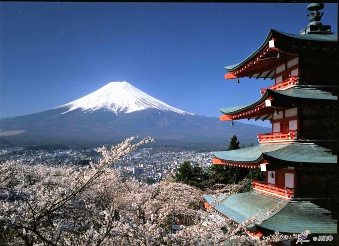 亞洲櫻花季景點-新倉山淺間神社。圖/翻攝自Tripbaa趣吧!亞洲自由行專家