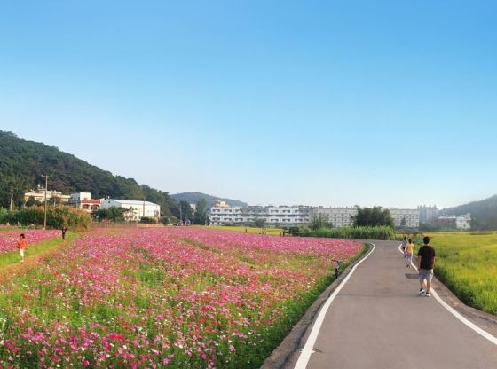 2019桃園燈會圓滿落幕-周邊旅遊景點好去處