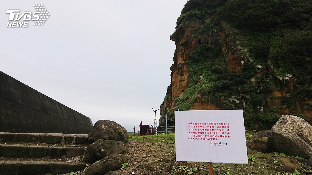 圖／中央社