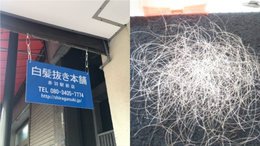 1小時狂拔4百根 這間店專門幫客人拔白髮
