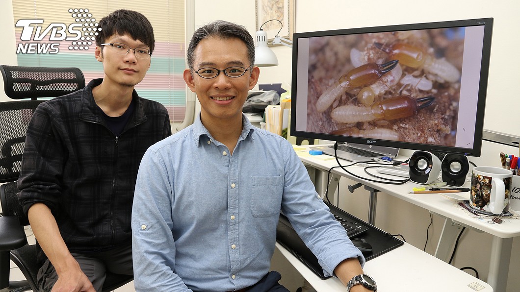 國立中興大學昆蟲系副教授李後鋒（右）與博士生梁維仁（左）發現新的白蟻物種，命名為「穿山甲木鼻白蟻」。圖／中央社