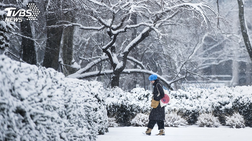 門口一夜雪積120cm高 美屋主受困家中