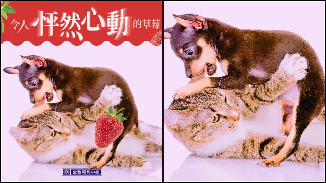 全聯粉專發布一系列草莓季廣告文案，引人遐想，不過事後也在留言處上傳原始圖片，請網友「別想歪」。圖／翻攝臉書