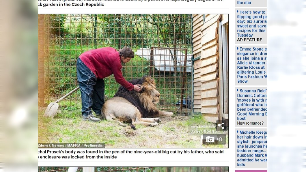 後院養2獅當寵物…男慘遭咬死　居民樂喊：終於！