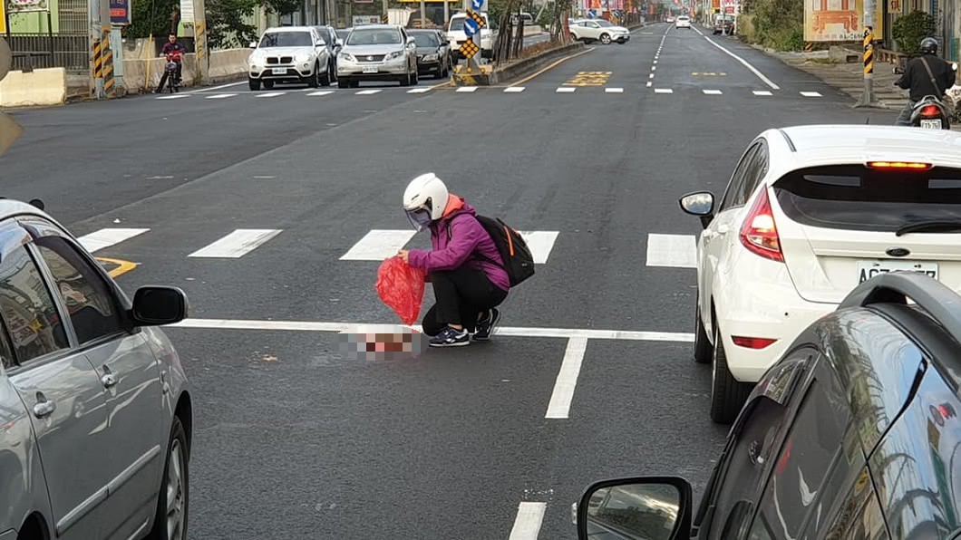 國道見貓被輾斃…好心男停車抱起保全屍 網友卻怒了