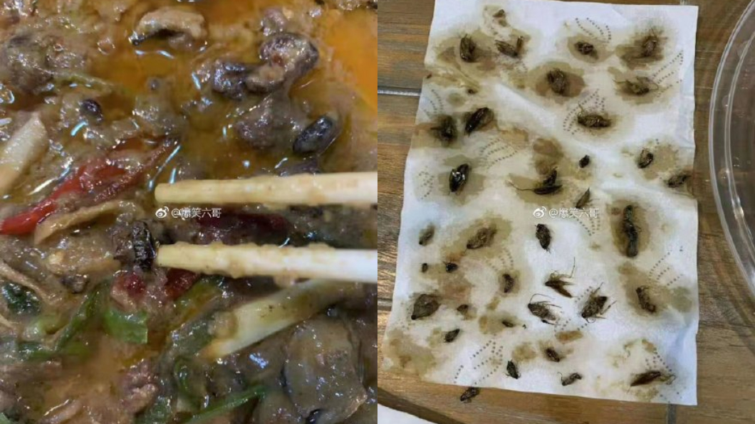 小強蓋飯?她點外賣夾出40隻蟑螂 網狂吐:扒祖墳了