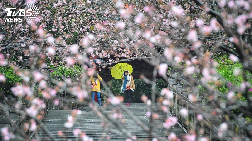 大陸冷氣團持續影響 濕冷天氣還有3天