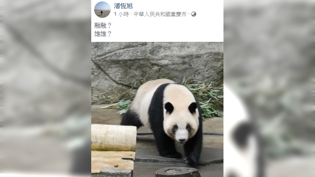 圖／翻攝自潘恆旭臉書
