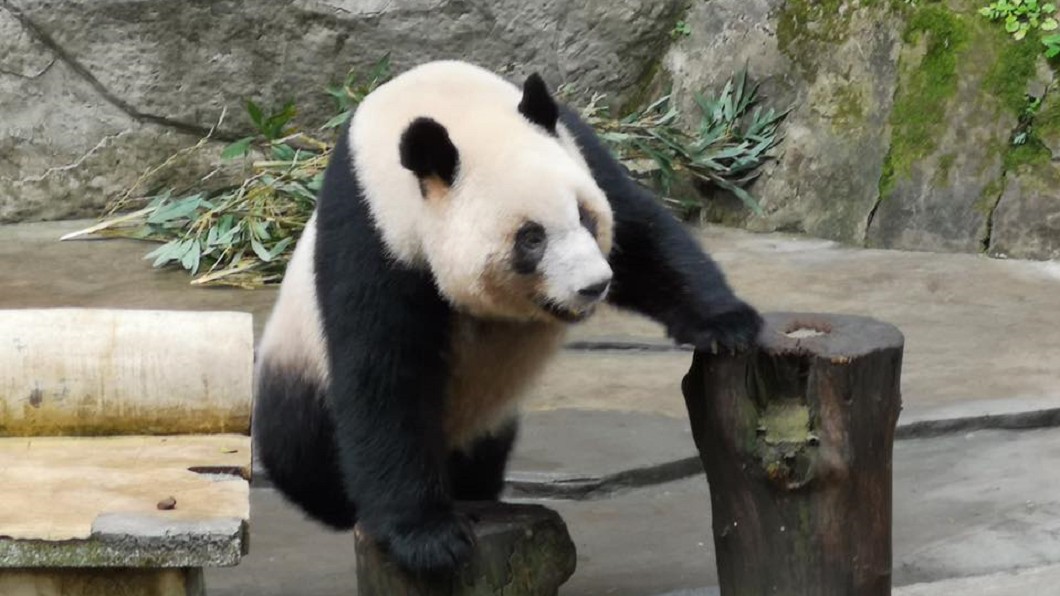 圖／翻攝自潘恆旭臉書