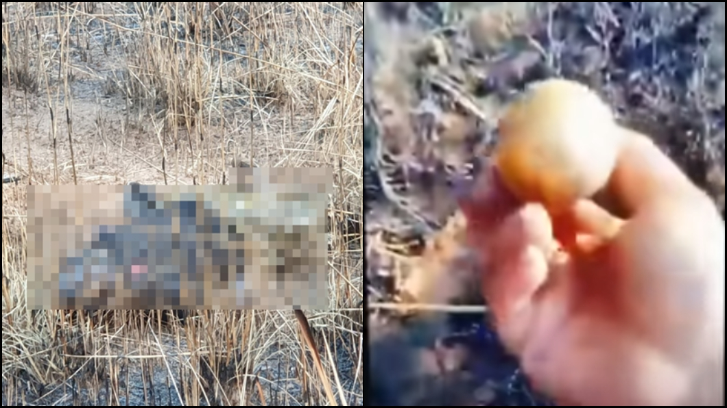 撿到手榴彈好嗨!男開直播炫耀 下秒被炸成肉醬…