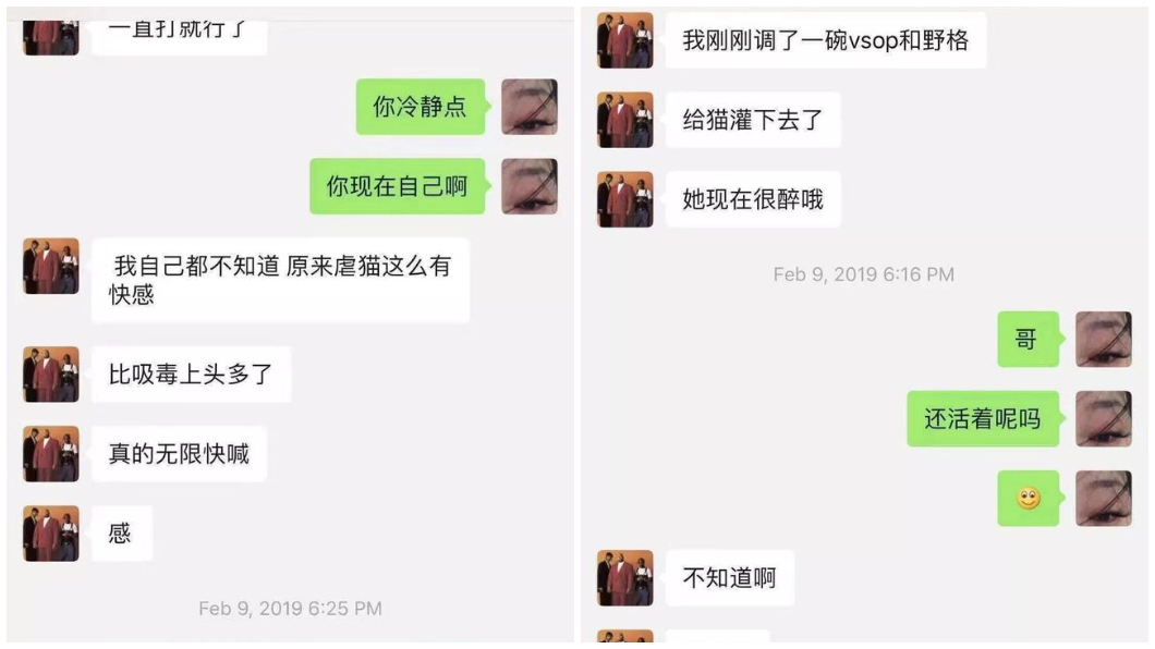圖/翻攝大陸微博