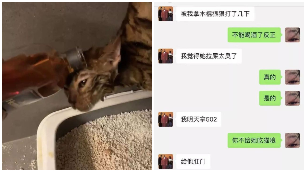 圖/翻攝大陸微博