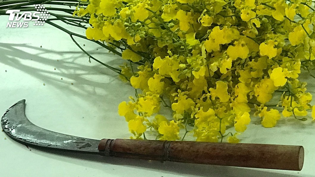 工作分配問題起口角 男子遭鐮刀刺死