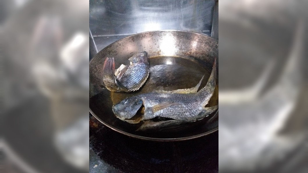 毛!命理師煎魚見「翹尾」 2次算中空難…奪157命