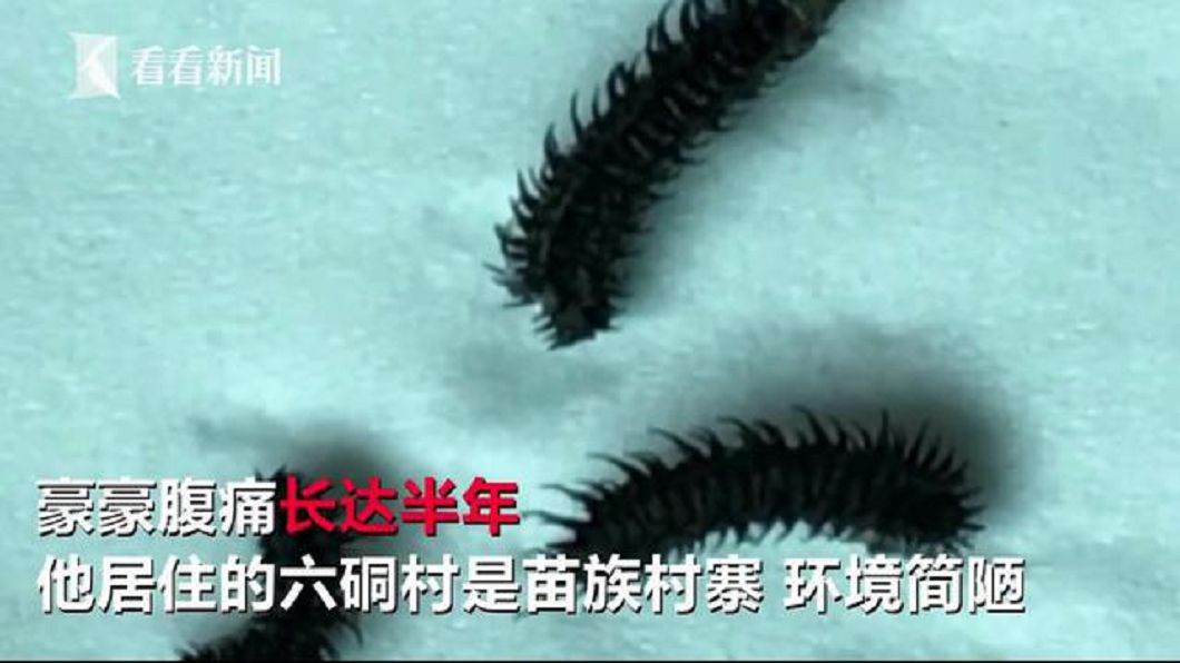 圖/翻攝自看看新聞