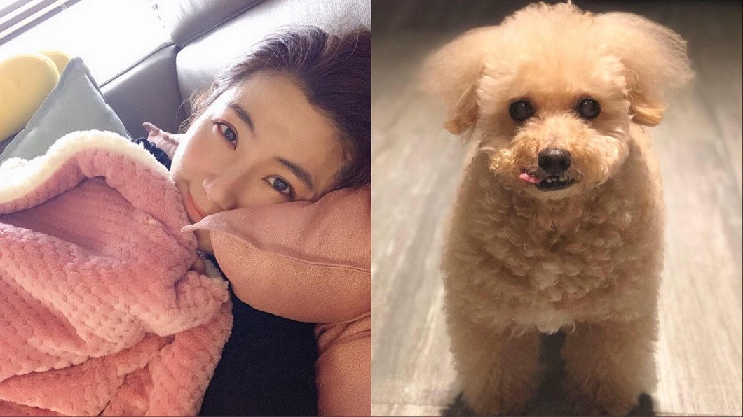 15歲愛犬在懷裡過世!Selina悲慟大受打擊
