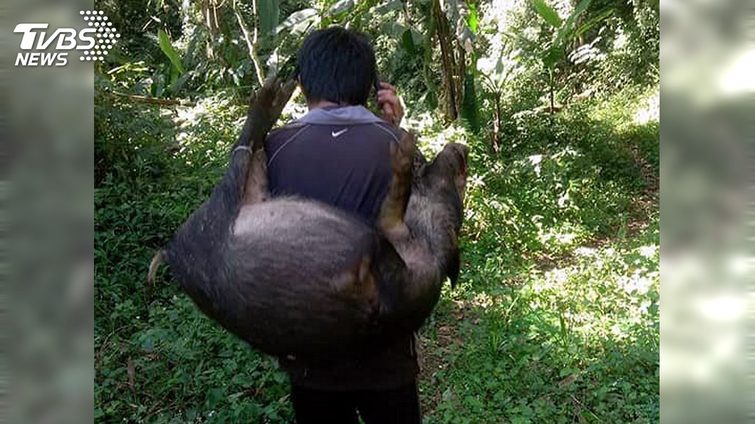 鄒族獵人協會將首頒獵人證 八年級女生名列其中