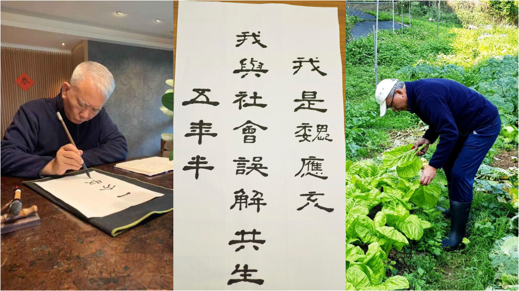 並非假油被關 魏應充臉書自爆:橄欖畫太大顆