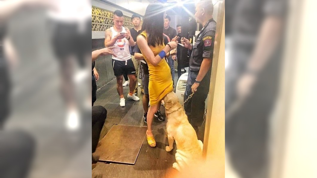 警犬狂聞短裙妹兩腿間 網笑炸:有人走私海鮮?