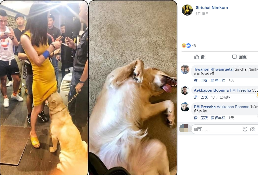網友搞笑P圖。/翻攝自แก้เซ็ง臉書