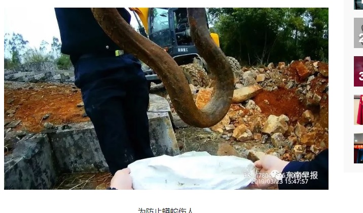 圖/翻攝自東南早報