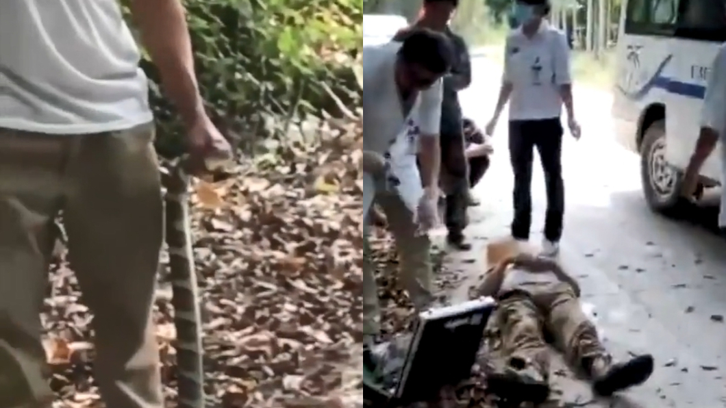 悚！勇男徒手抓眼鏡王蛇　下秒被咬…倒地斃命