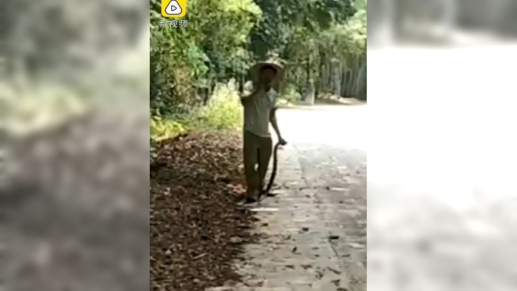 潘男徒手抓蛇，姿勢相當霸氣。圖／翻攝自微博