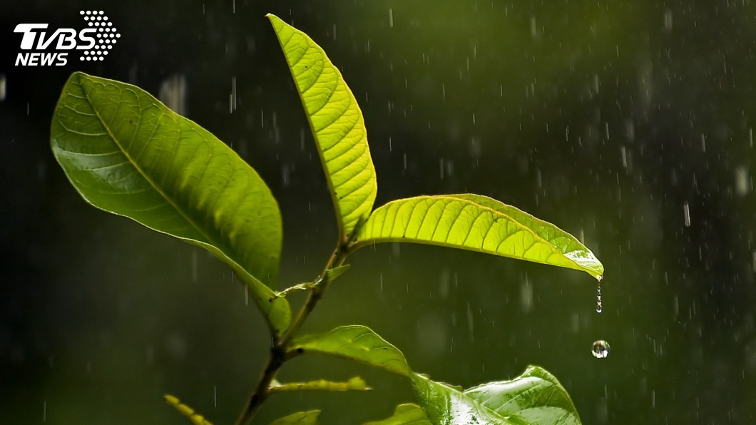 聖嬰現象成形 印度雨量與夏季氣溫恐受影響