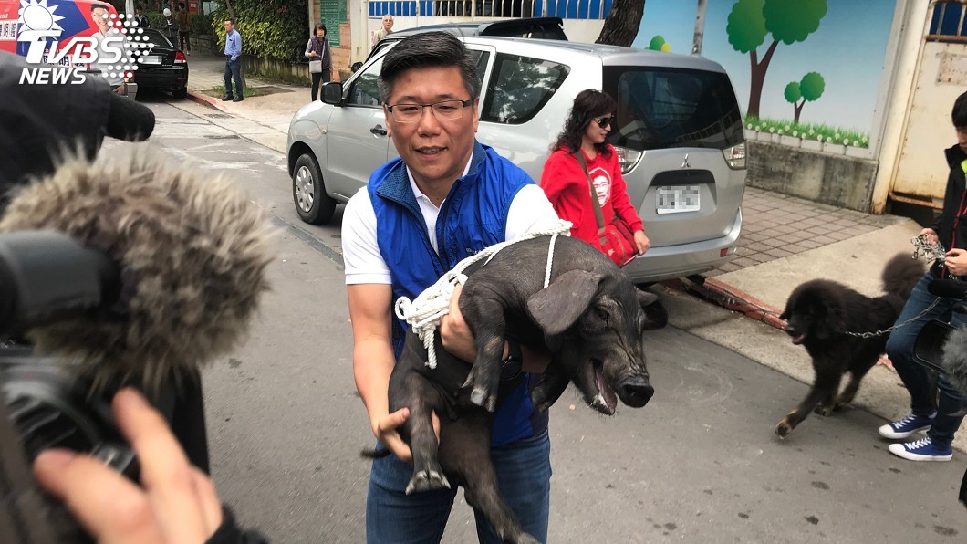 不滿陳明通禽獸說 藍營新北議員帶豬狗抗議